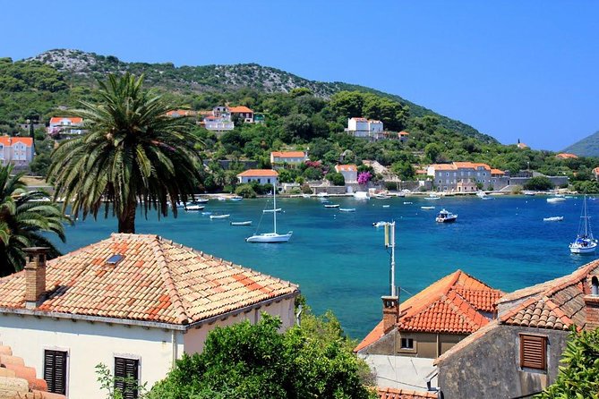 Elafiti Islands Private Tour with Fisher 20 Speedboat - Šunj Beach, the easy family stop
