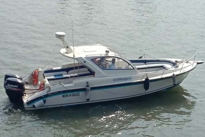 Elephanta Caves Tour by Private Speed Boat - Who should book this Elephanta tour
