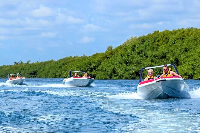 Exciting Speedboat & Snorkeling Tour in Cancun Lagoon! - Cruising through Nichupté Lagoon and its mangroves