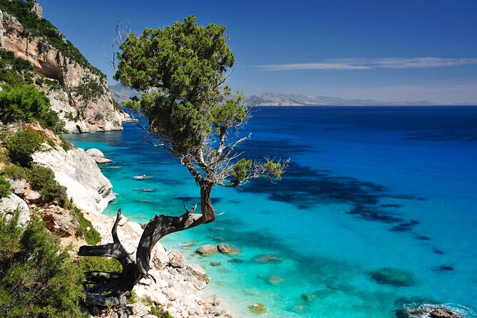 Exclusive Rib for Tours Along the Baunei Coast - Piscine di Venere: a short photo and swim pause