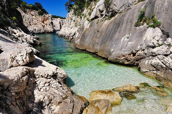 Exclusive Rib for Tours Along the Baunei Coast - What the $964.04 price means in practical terms