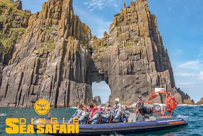 Exhilarating Rib experience - Dingle sea safari - Cliffs, caves, and the Blasket Islands