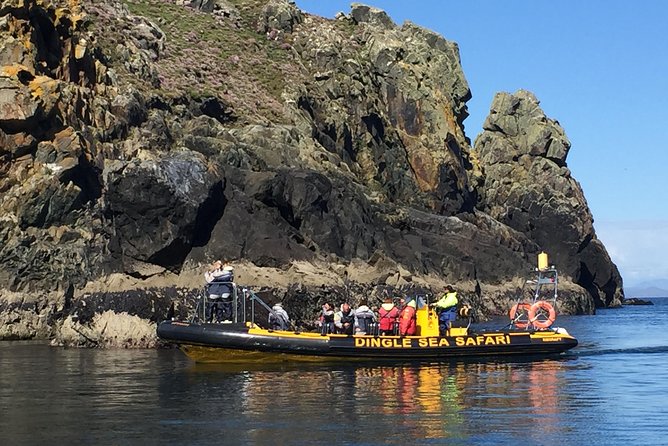 Exhilarating Rib experience - Dingle sea safari - Wildlife sightings depend on the day