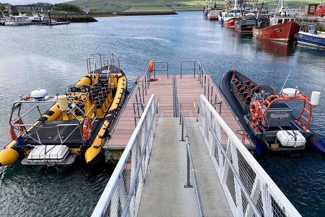 Exhilarating Rib experience - Dingle sea safari - What the captains add