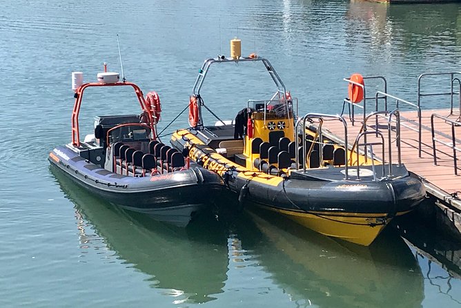 Exhilarating Rib experience - Dingle sea safari - Sea sickness and rough-water reality