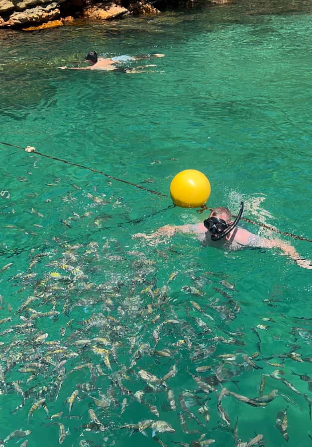 Experience Paradise Ilha Grande in a Speedboat Private - Beach stops built around your group