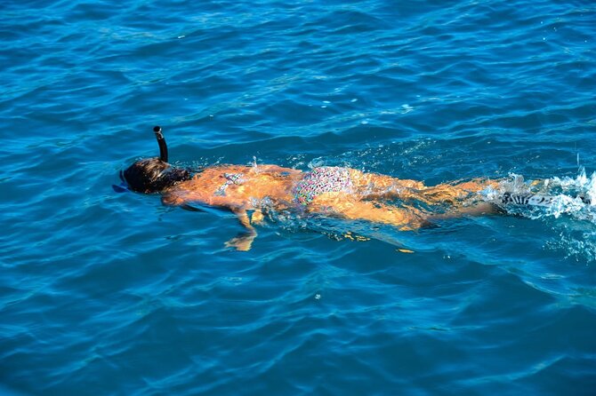 Explore Angthong National Marine Park's Hidden Gems by Speedboat - What the $74.46 price really covers