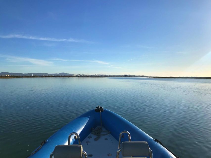 Faro: Speed Boat Tour - Praia da Ilha Deserta: a short island stop