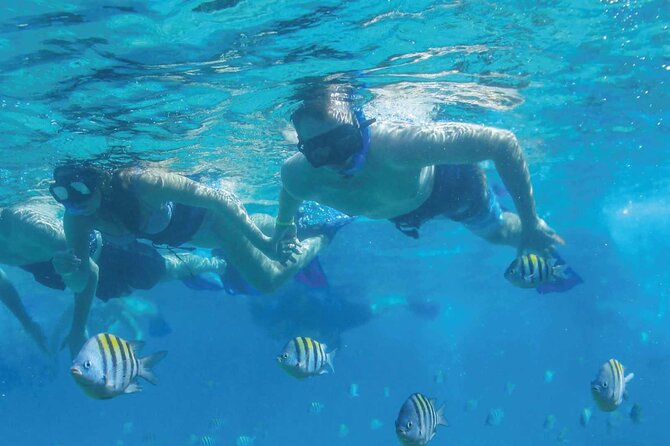 Fast & Fun: Cancun Speedboat Tour with Snorkeling - Cancellation and planning details