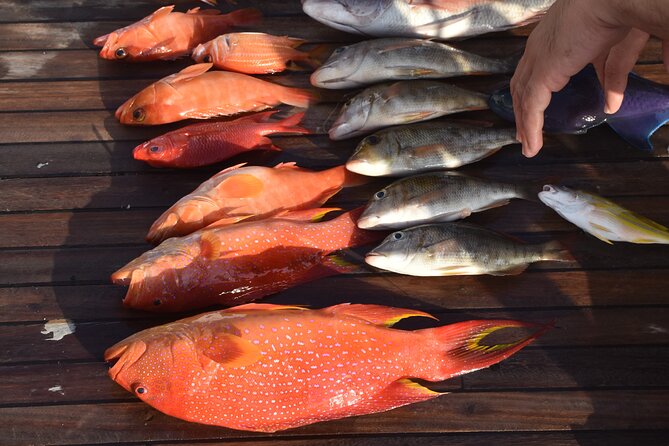 Fishing and Snorkelling by Speedboat Tour - Hurghada - From your hotel to Hurghada’s Red Sea
