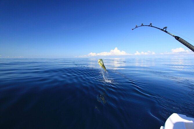 Fishing and Snorkelling by Speedboat Tour - Hurghada - Fishing at two different spots