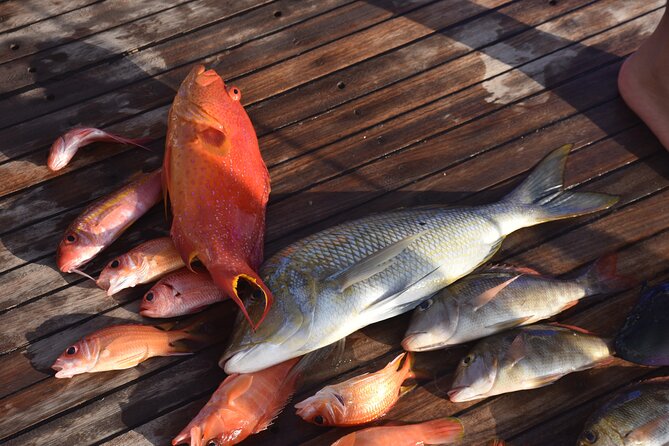 Fishing and Snorkelling by Speedboat Tour - Hurghada - Optional water sports and extra hours