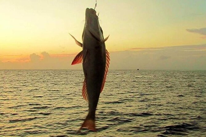 Fishing and Snorkelling by Speedboat Tour - Hurghada - Speedboat time across the Red Sea