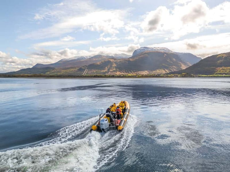 Fort William: 1hr Loch Safari Speedboat Tour - Leaving Fort William from the West End pontoons