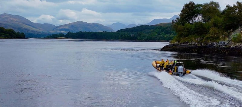 Fort William: 1hr Loch Safari Speedboat Tour - Seal Island and close wildlife views