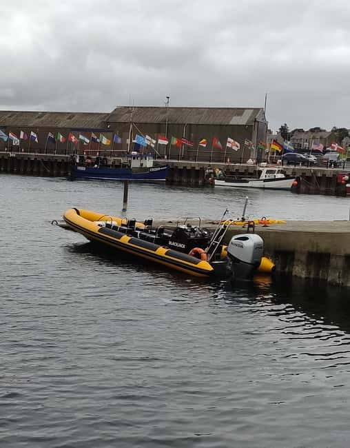 Fort William: 1hr Loch Safari Speedboat Tour - A speedboat ride, not a gentle cruise