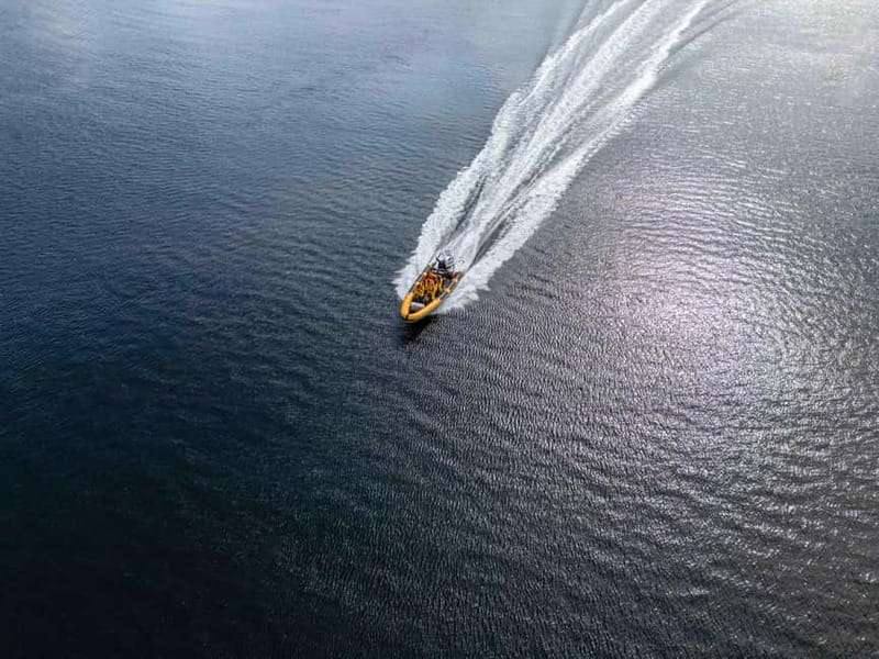 Fort William: 1hr Loch Safari Speedboat Tour - Should you book the Loch Linnhe speedboat tour?
