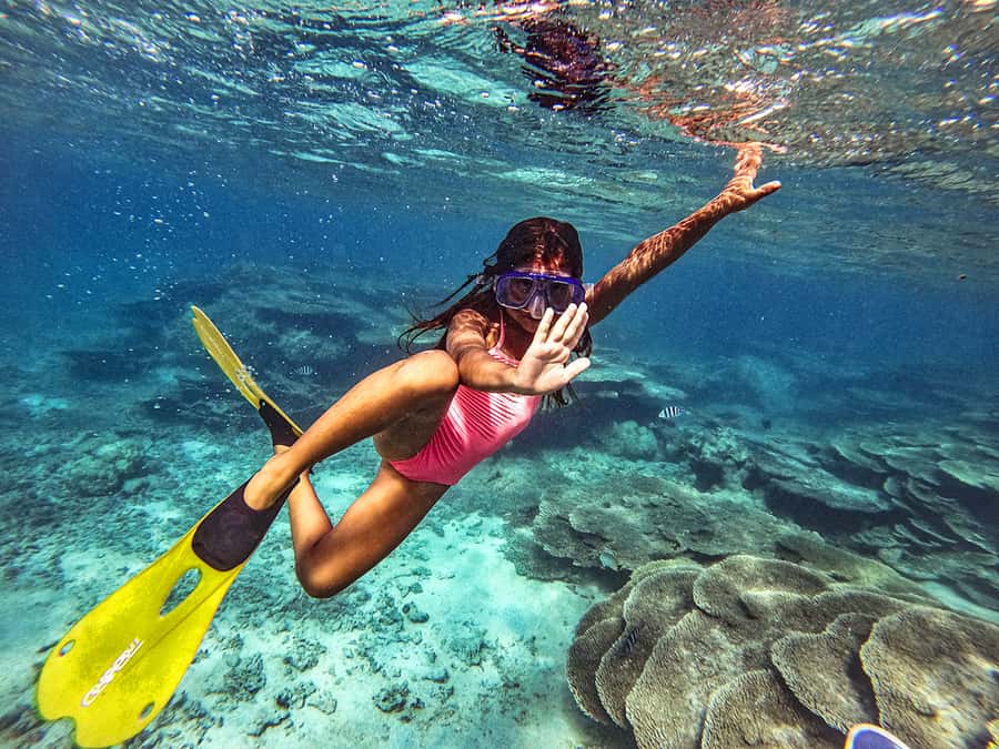 From Blue Bay: Ile aux Cerfs Speedboat Excursion with BBQ - Snorkeling in the Blue Bay Marine Park