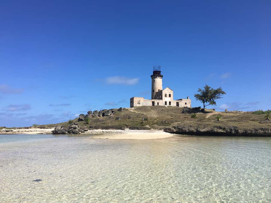 From Blue Bay: Ile aux Cerfs Speedboat Excursion with BBQ - The second swim near Ile aux Aigrettes