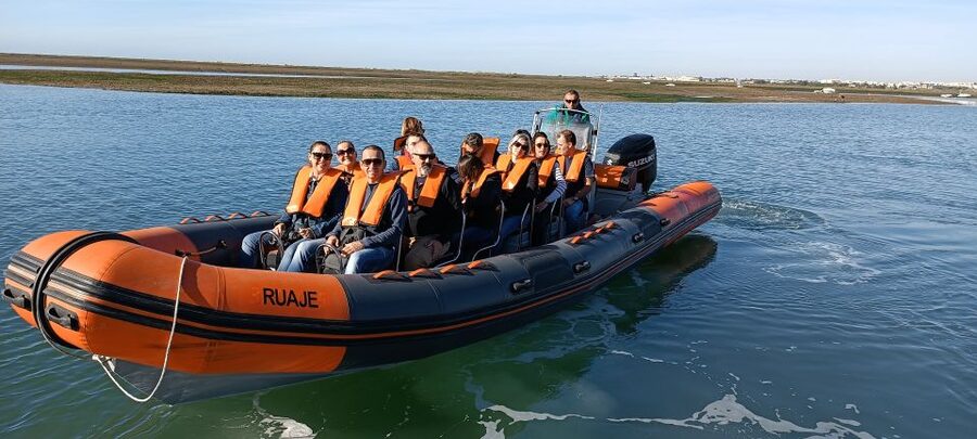 From Faro: Wildlife and Dolphin-Watching Speedboat Tour - Look beyond the dolphins