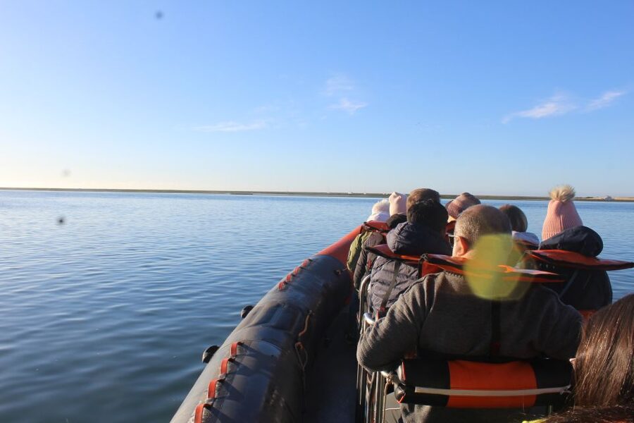 From Faro: Wildlife and Dolphin-Watching Speedboat Tour - Cape Santa Maria marks the change to open water