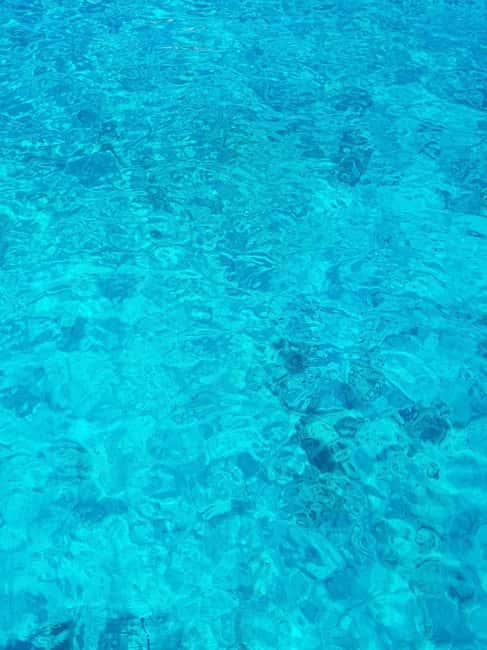 From Hvar: Blue cave group speedboat tour full day - What the speedboat ride is really like