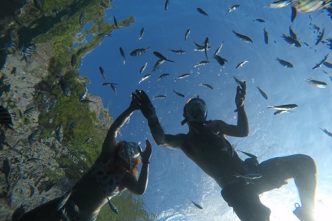 From Khao Lak : Full-Day Private Phi Phi Islands Speedboat Charter - Bamboo Island is the day’s main beach stop