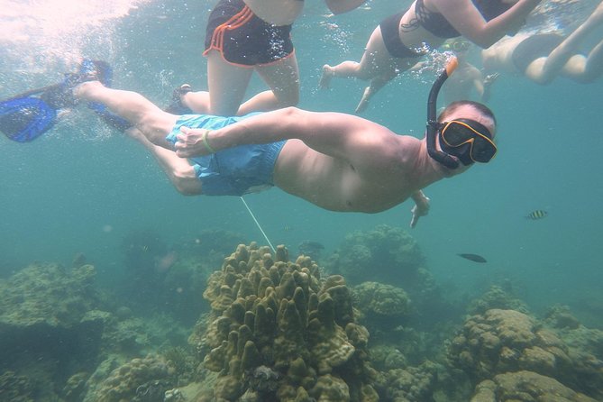 From Khao Lak : Full-Day Private Phi Phi Islands Speedboat Charter - Monkey Beach and its wild residents