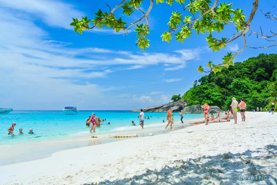 From Khao Lak & Phuket: Trip to Similan Islands by Speedboat - The real appeal of the Similan Islands