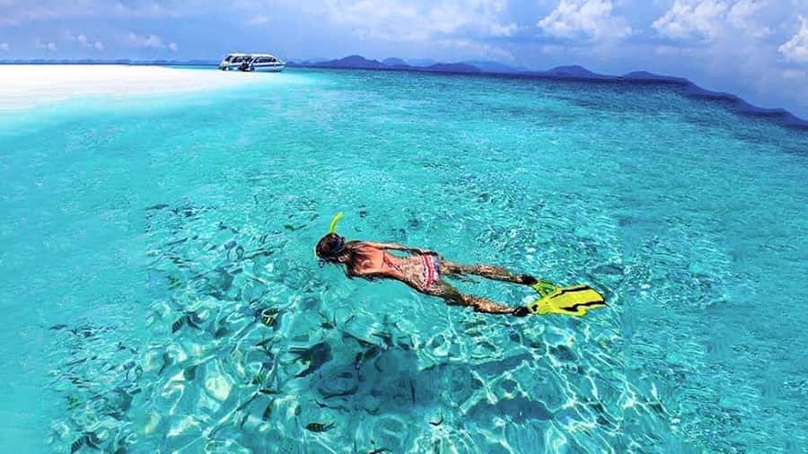 From Khao Lak & Phuket: Trip to Similan Islands by Speedboat - Ko Payu is the best chance to find Nemo