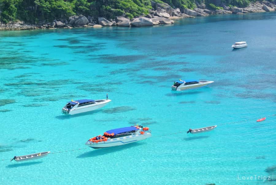 From Khao Lak & Phuket: Trip to Similan Islands by Speedboat - From Phuket or Khao Lak, the morning begins early