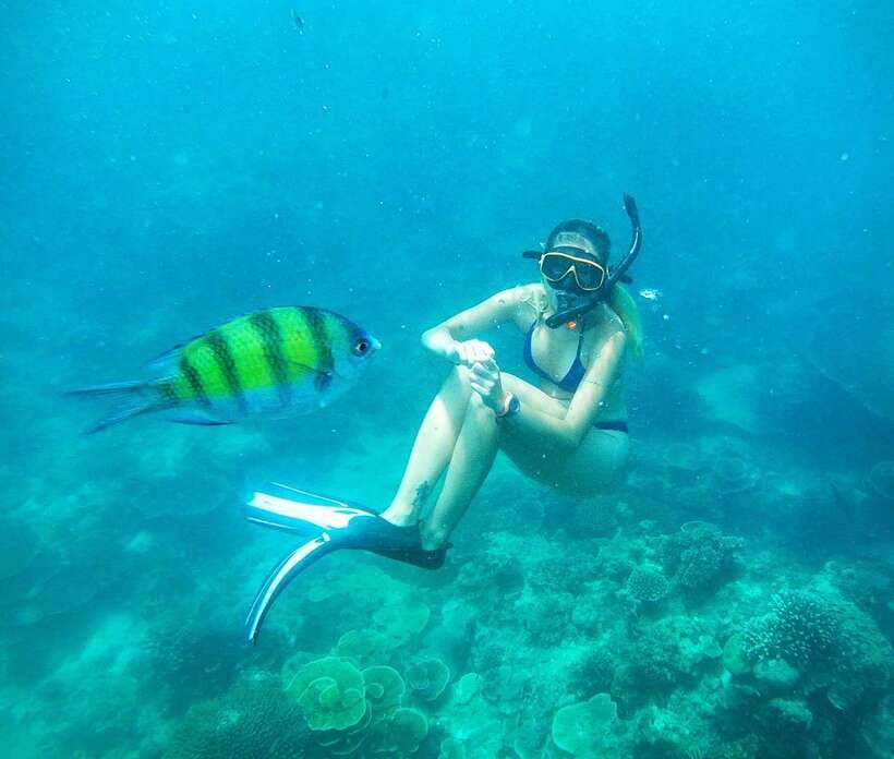 From Koh Lanta: Koh Haa & Koh Rok Snorkel Tour by Speedboat - Who should book this Koh Haa and Koh Rok tour?