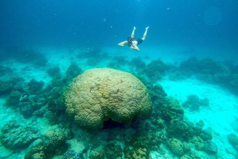 From Koh Lanta: Koh Haa & Koh Rok Snorkel Tour by Speedboat - Koh Haa gives you the first look at the reef