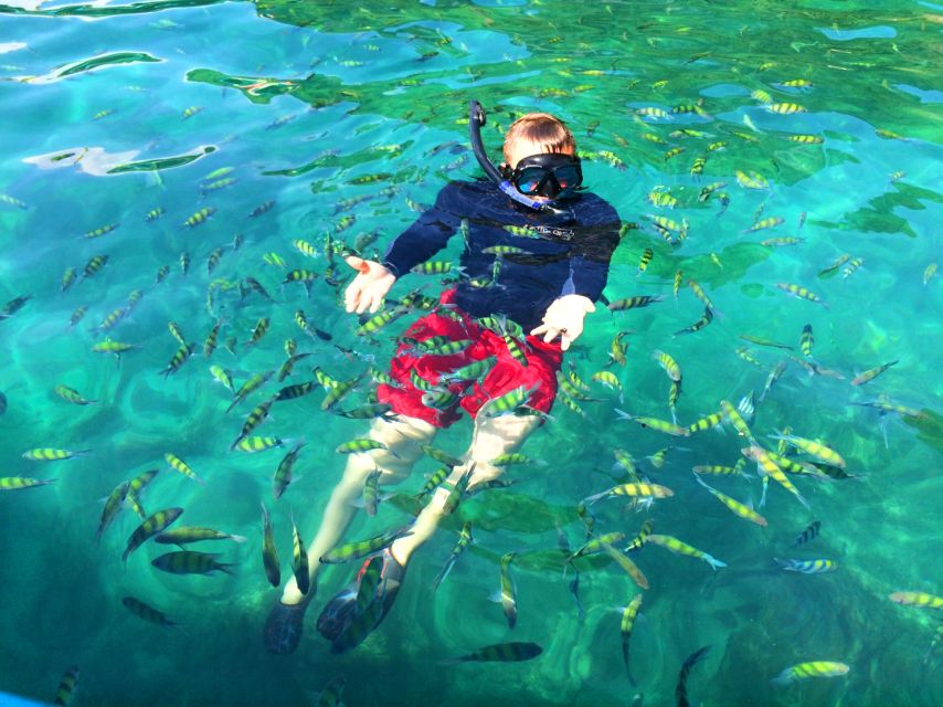 From Krabi: 4 Islands Snorkeling Tour by Speed Boat - The practical rhythm of the day