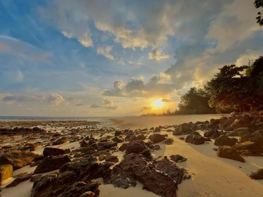 From Krabi: Phi Phi Early Bird & 4 Islands by Speedboat - Key points to know before booking