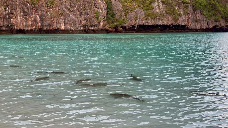From Krabi: Phi Phi Early Bird & 4 Islands by Speedboat - Chicken Island is a quick but worthwhile photo stop