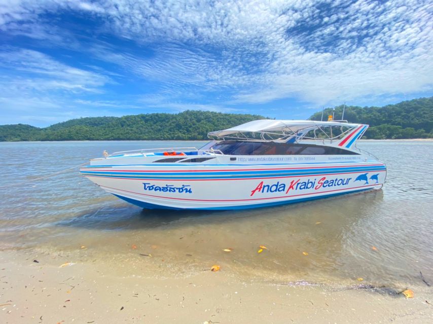From Krabi: Phi Phi Island Full-Day Private Speed Boat Tour - Key points to know before you book
