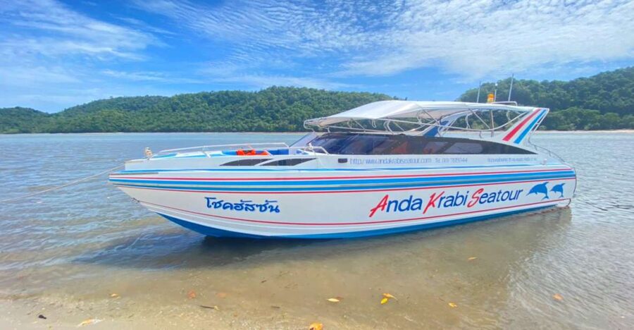 From Krabi: Phi Phi Island Full-Day Private Speed Boat Tour - A private start from Krabi