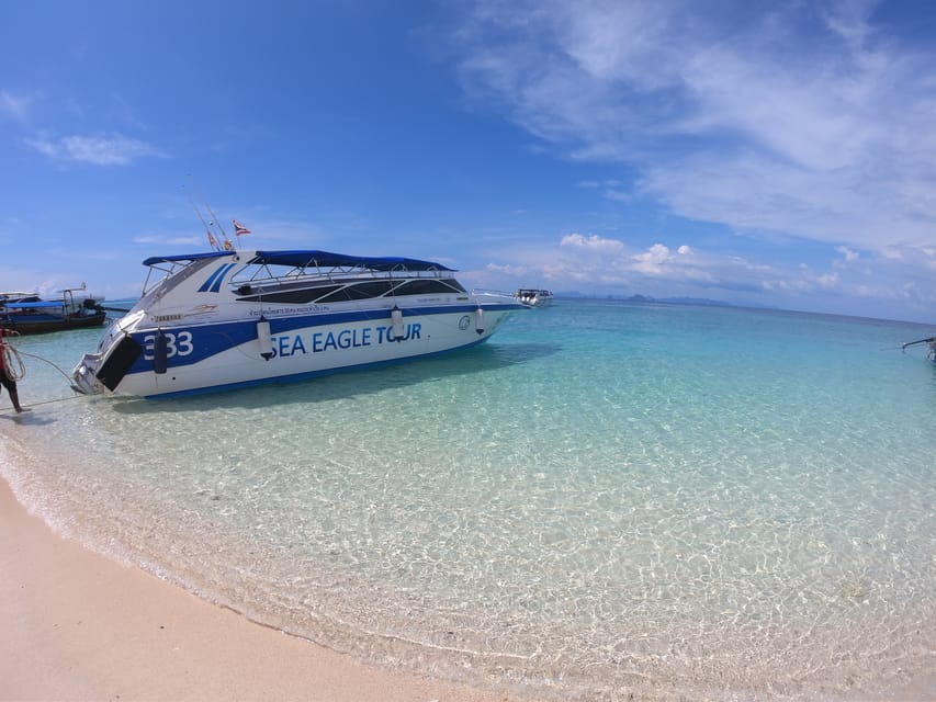 From Krabi: Phi Phi Islands Speedboat Day Tour - What makes this Phi Phi tour worth considering