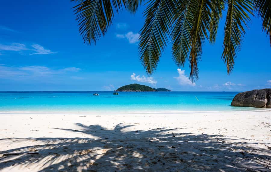 From Krabi: Similan Islands Day Trip by Speedboat - Koh Bangu brings a second chance to see marine life
