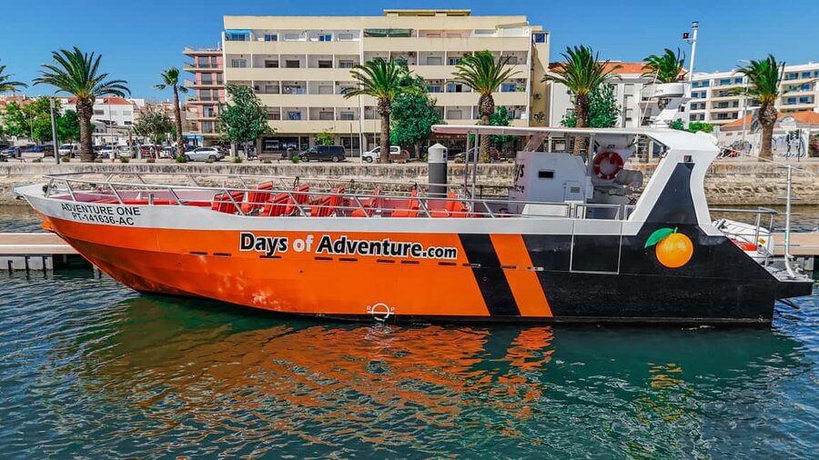 FROM LAGOS: BENAGIL AND DOLPHIN WATCHING - JETBOAT - Searching for dolphins in the open sea