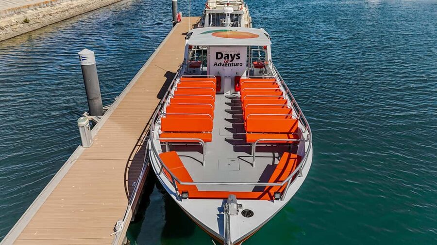 FROM LAGOS: BENAGIL AND DOLPHIN WATCHING - JETBOAT - What the ride feels like for different types of visitors