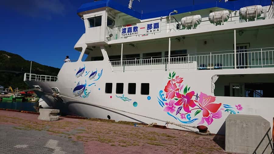 From Naha: Snorkeling Tour to Kerama by High-speed boat - Who will enjoy this tour most