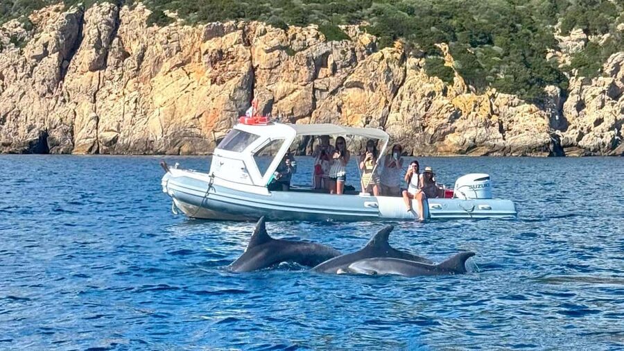 From Olbia: RIB Tour to Capo Figari with Dolphin Sighting - Key points to know before booking