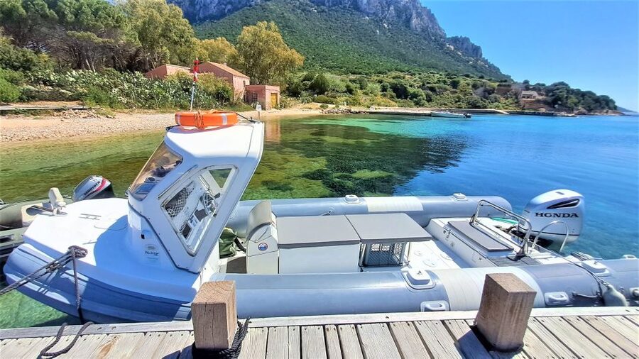 From Olbia: RIB Tour to Capo Figari with Dolphin Sighting - What is included for $77?