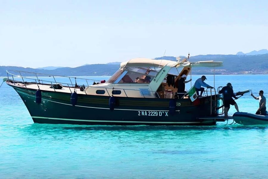 From Palau: South Corsica Trip by Wood Speedboat with Lunch - Key points at a glance