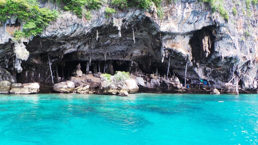 From Phi Phi Don:Sunset and Plankton Snorkeling by Speedboat - Snorkeling with reef fish and possible blacktip sharks