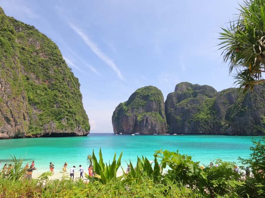 From Phi Phi Don:Sunset and Plankton Snorkeling by Speedboat - The nighttime plankton swim