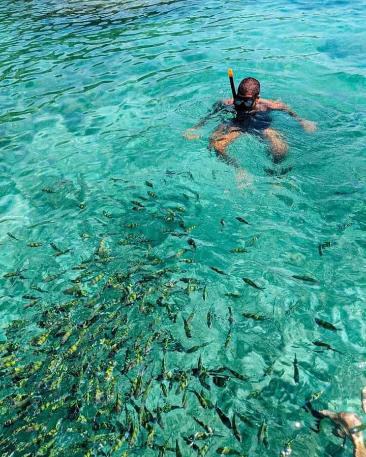 From Phi Phi Don:Sunset and Plankton Snorkeling by Speedboat - What the $74 price really covers