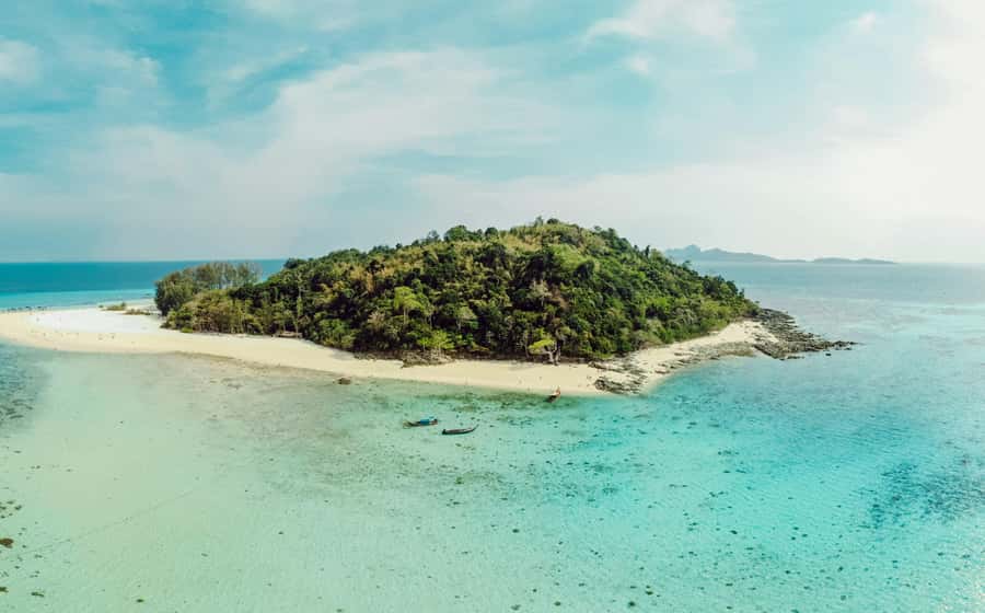 From Phi Phi : Full Day tour by Speed Boat with Lunch - Shark Point adds a touch of wildlife